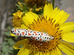 DSC00040a2
